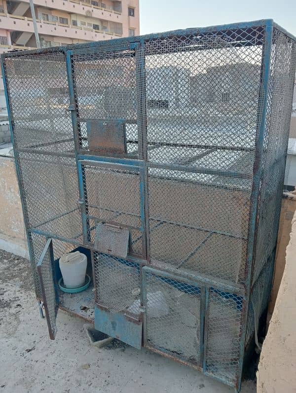 cage for sale pigeon parrot finch budgies Australian 4