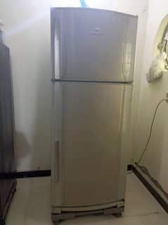 Dawlance Refrigerator 18CFt ( Full Size)