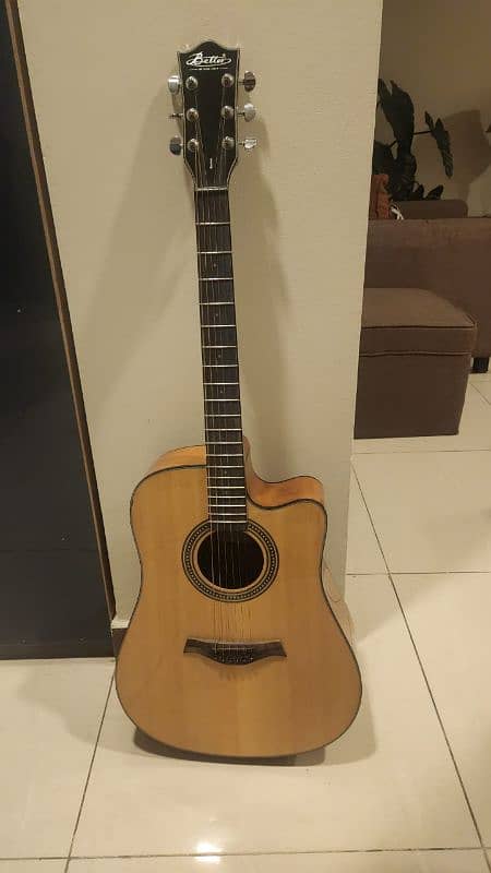 Branded Guitar in Excellent condition for Sale 1