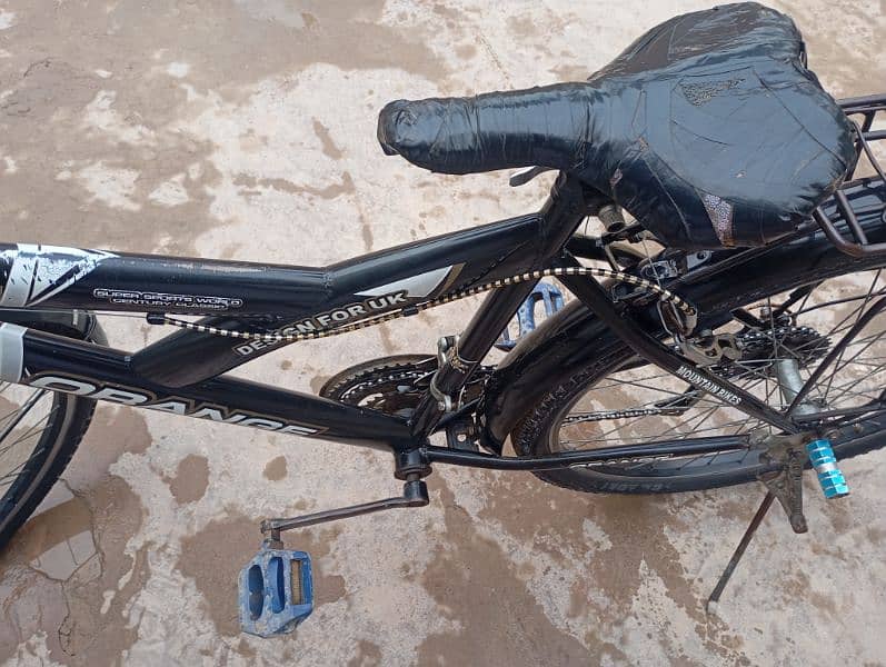 Bicycle for Sell 03119689653 4