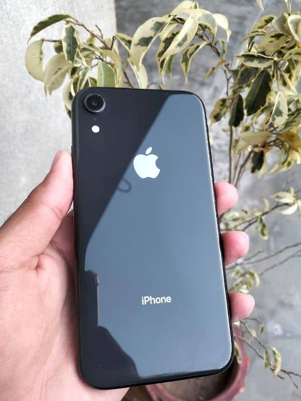 iphone xr 3