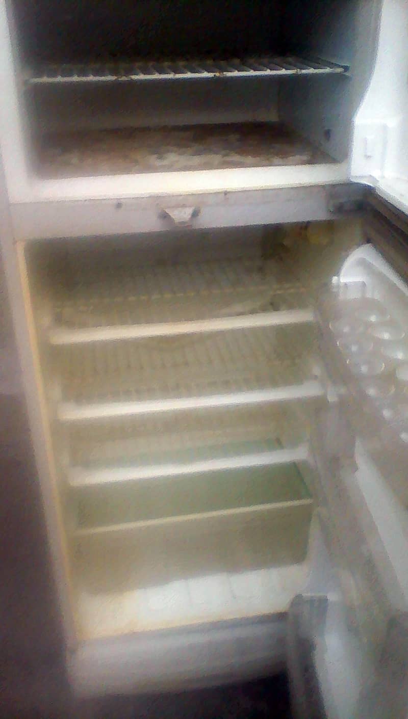 Pel refrigerator 2