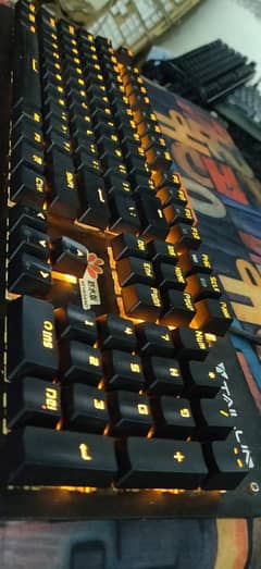 Tailur Gaming mechanical keyboard