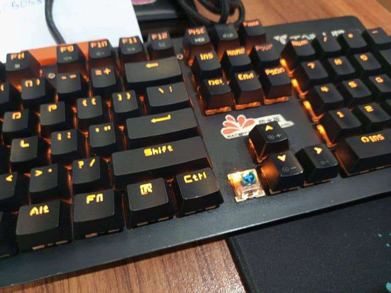 Tailur Gaming mechanical keyboard 1