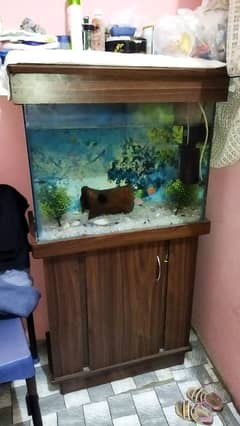 Aquarium