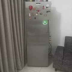 Turkish company Beko Tower freezer