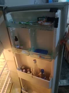 fridge single door