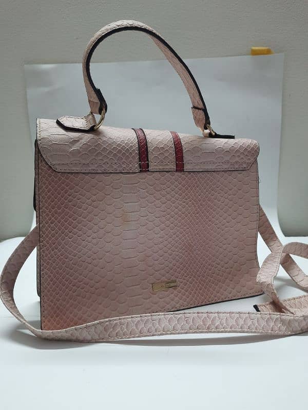 branded bag - Aldo 1