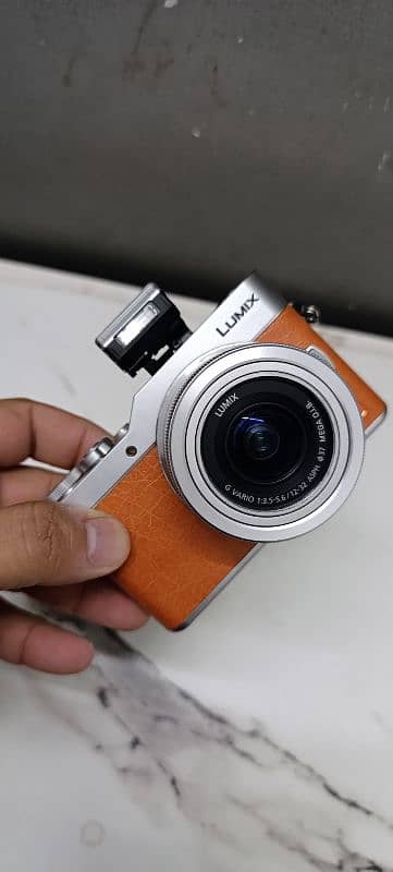 Panasonic Lumix GF9 0