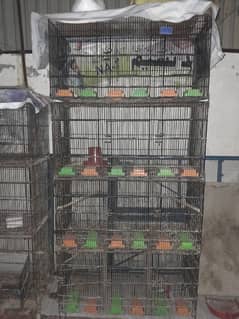 12 Portions Zarrar Cage with Pots