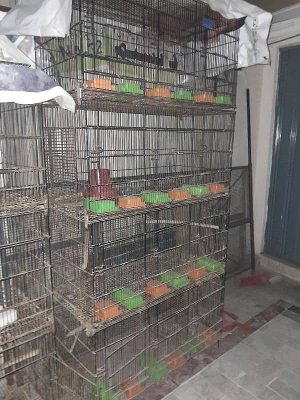 12 Portions Zarrar Cage with Pots 2