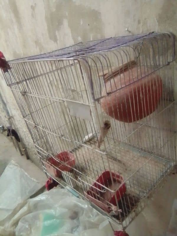 birds cage with 2 kuji (matki) 0