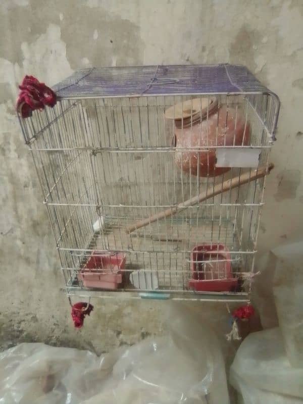 birds cage with 2 kuji (matki) 2