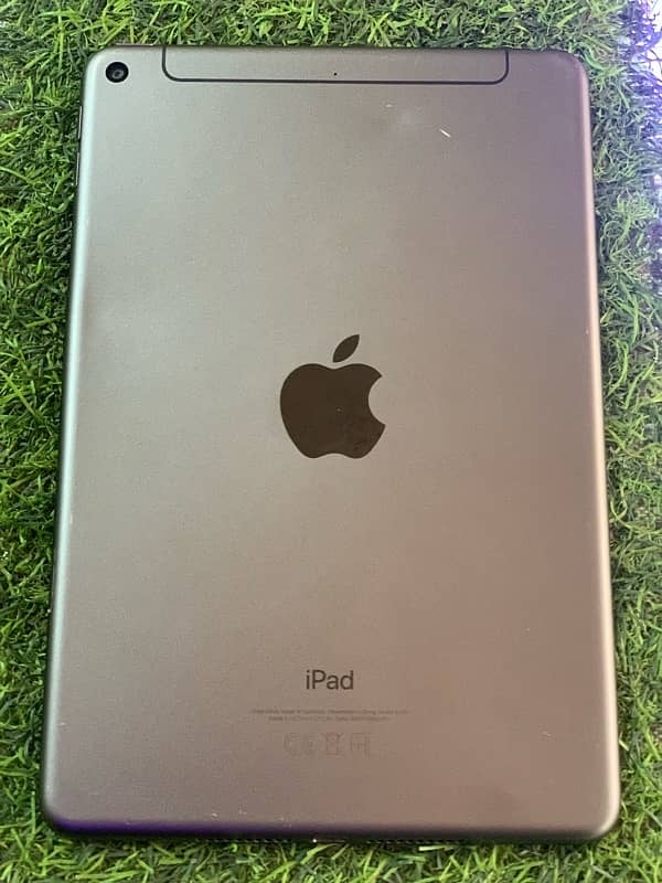 ipad mini 5 1