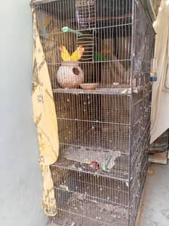 Parrot cage