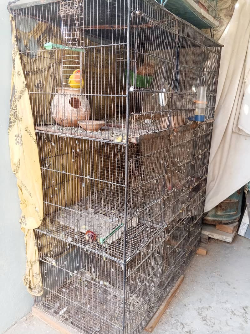 Parrot cage 2