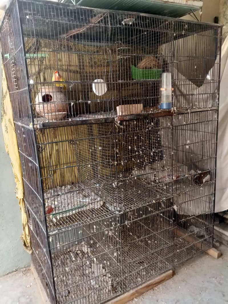 Parrot cage 3