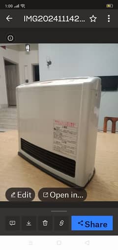 Ranai elect gas heater