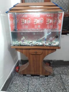 aquarium