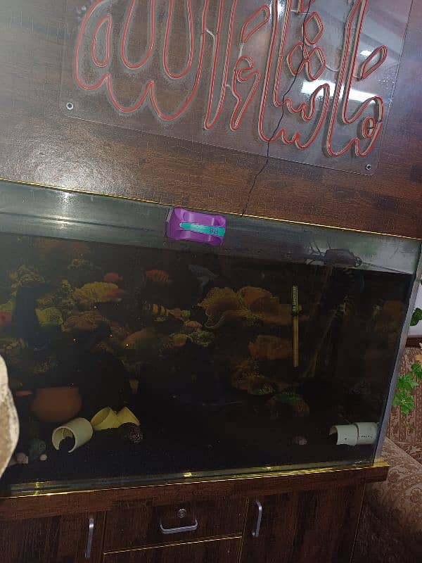 fish tank with all fishes 2