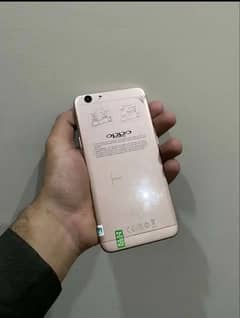 oppo