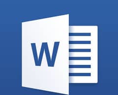 Msword work Professionaly