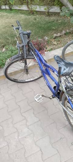 cycle for sale