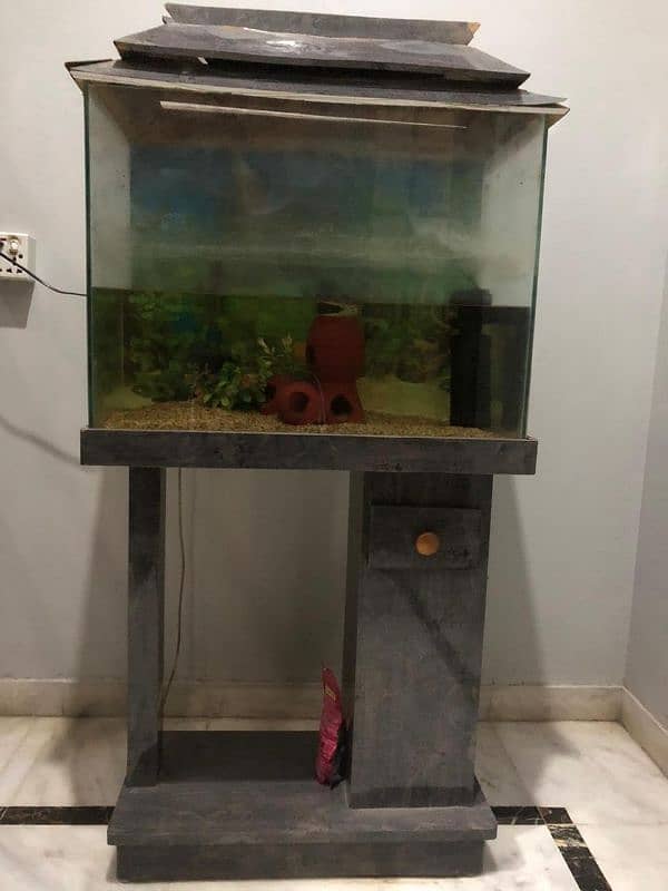 2 ft Aquarium for sale 0