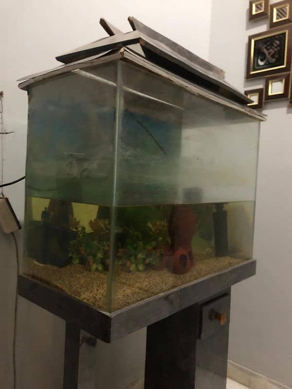 2 ft Aquarium for sale 1