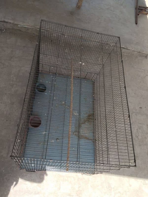 Pegion+hen Cage 1