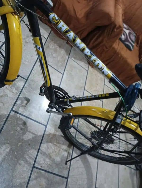 CHAMPION BICYCLE FOR SALE 11