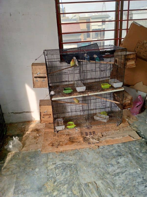 6bredr pir box cage and cate baby03121599002 5