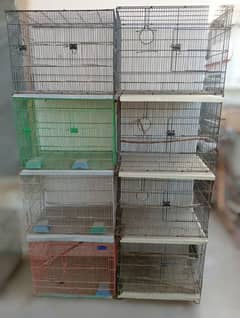 Cages different size for bird parrot hens