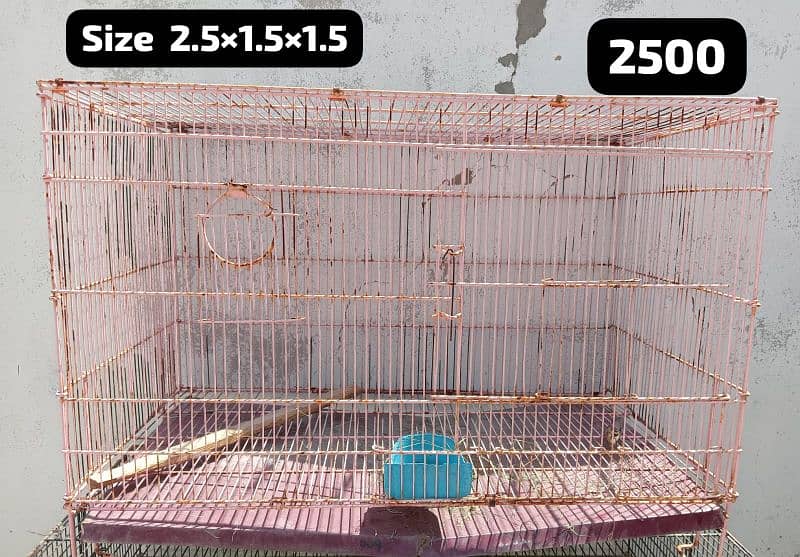 Cages different size for bird parrot hens 2