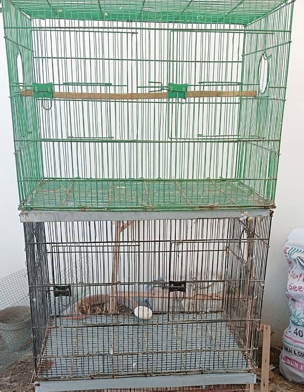 Cages different size for bird parrot hens 3