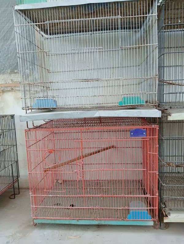 Cages different size for bird parrot hens 4