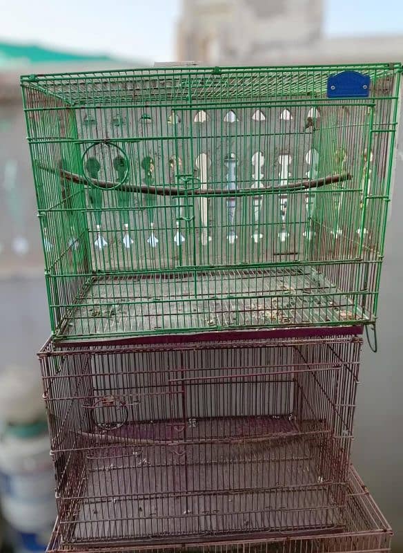 Cages different size for bird parrot hens 5