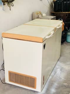 Waves Double Door Geniune Freezer In Good Condition