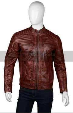 leather jacket imported