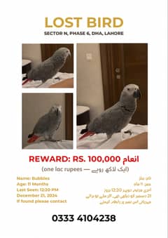 Missing Bird (Not Selling)