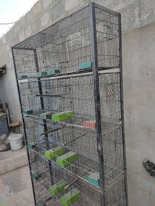 10 portion Folding cage 6