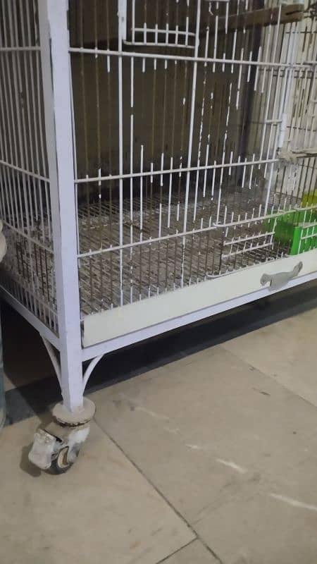 Cages for Sale 4