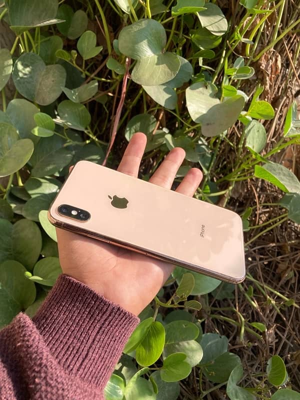 iphone xs max 8