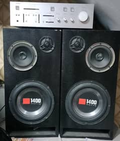 10" Woofers with modified Amplifier