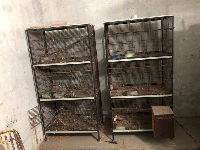 cages for birds like new 0