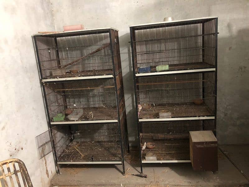 cages for birds like new 1