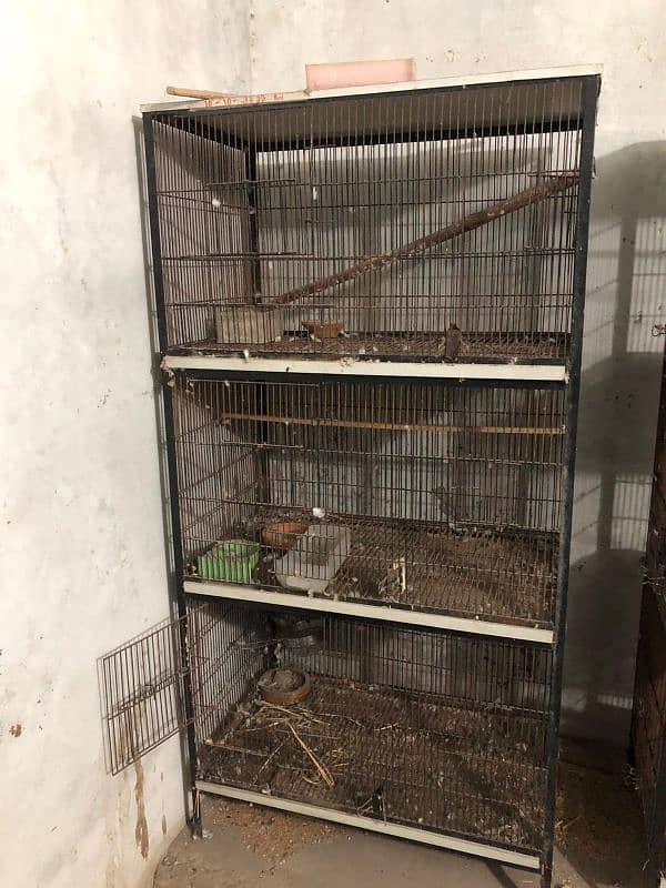 cages for birds like new 2