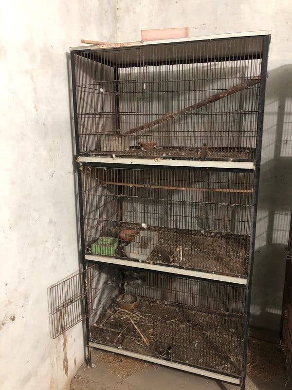 cages for birds like new 3