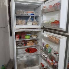 full size fridge dowlance