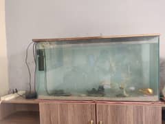 Aquarium for sale